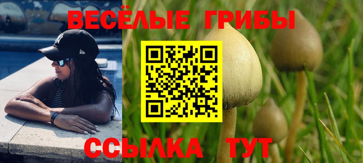Галлюциногенные грибы прущие грибы  Вход с VPN  Псилоцибиновые грибы мицелий  Карталы 