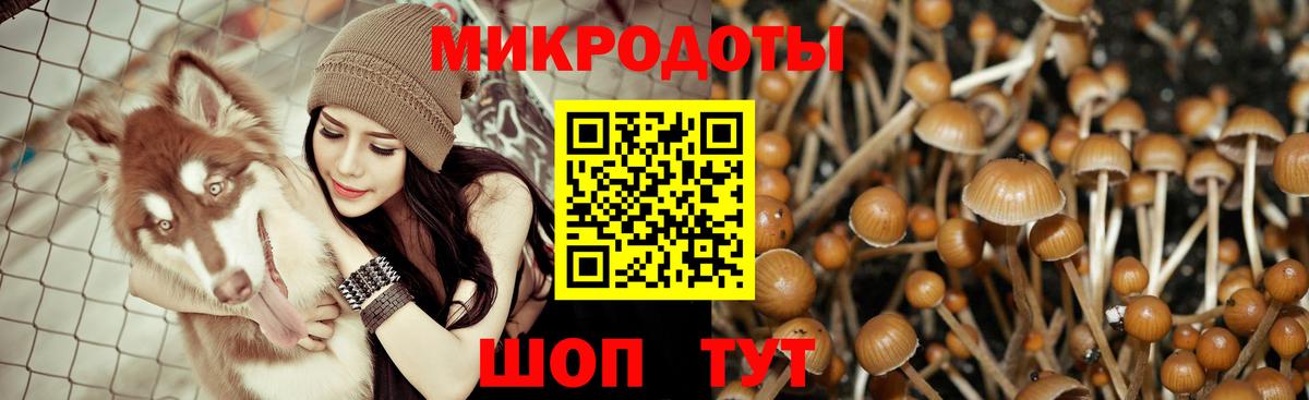 Псилоцибиновые грибы мухоморы Карталы